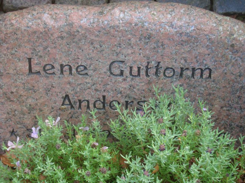 Lene Guttorm Andersen.JPG